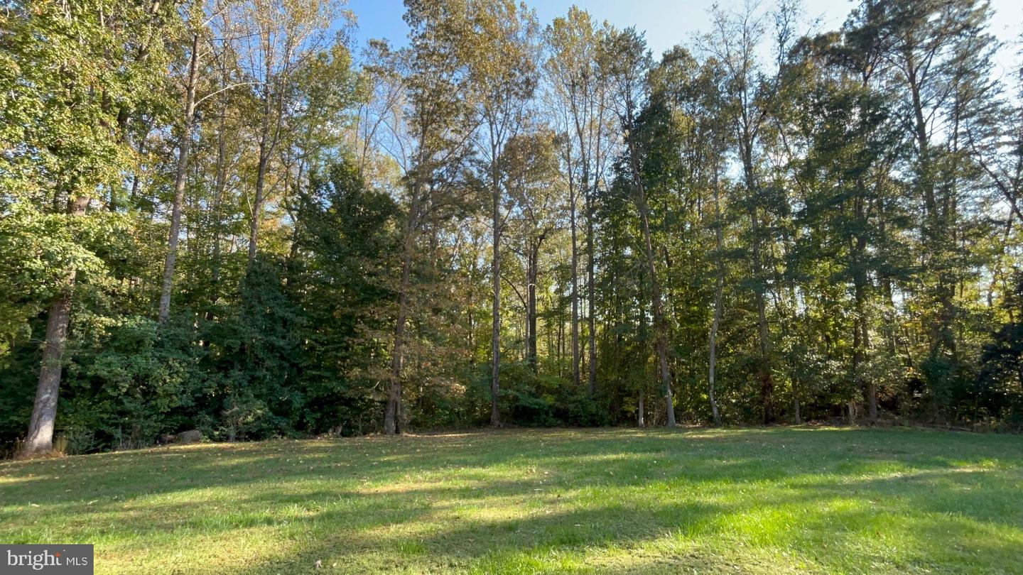 6407 Hams Ford Rd Property Photo 3