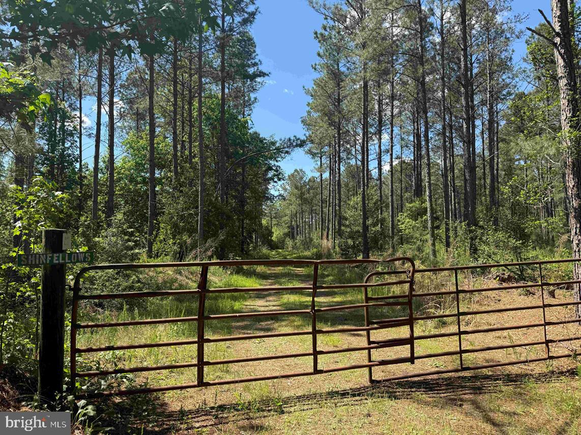 Huntington Road (tract: Surry William-sharp-1) Property Photo 1