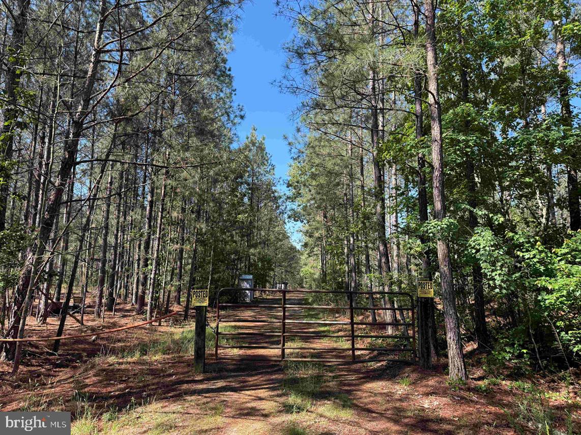 Laurel Drive (tract: Surry Seward-scott) Property Photo 1