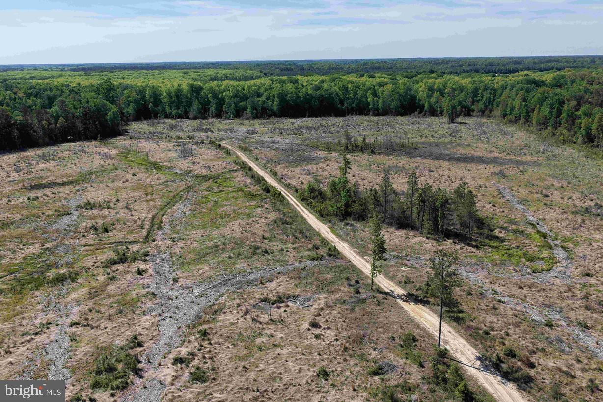 Laurel Drive (tract: Surry Seward-scott) Property Photo 8