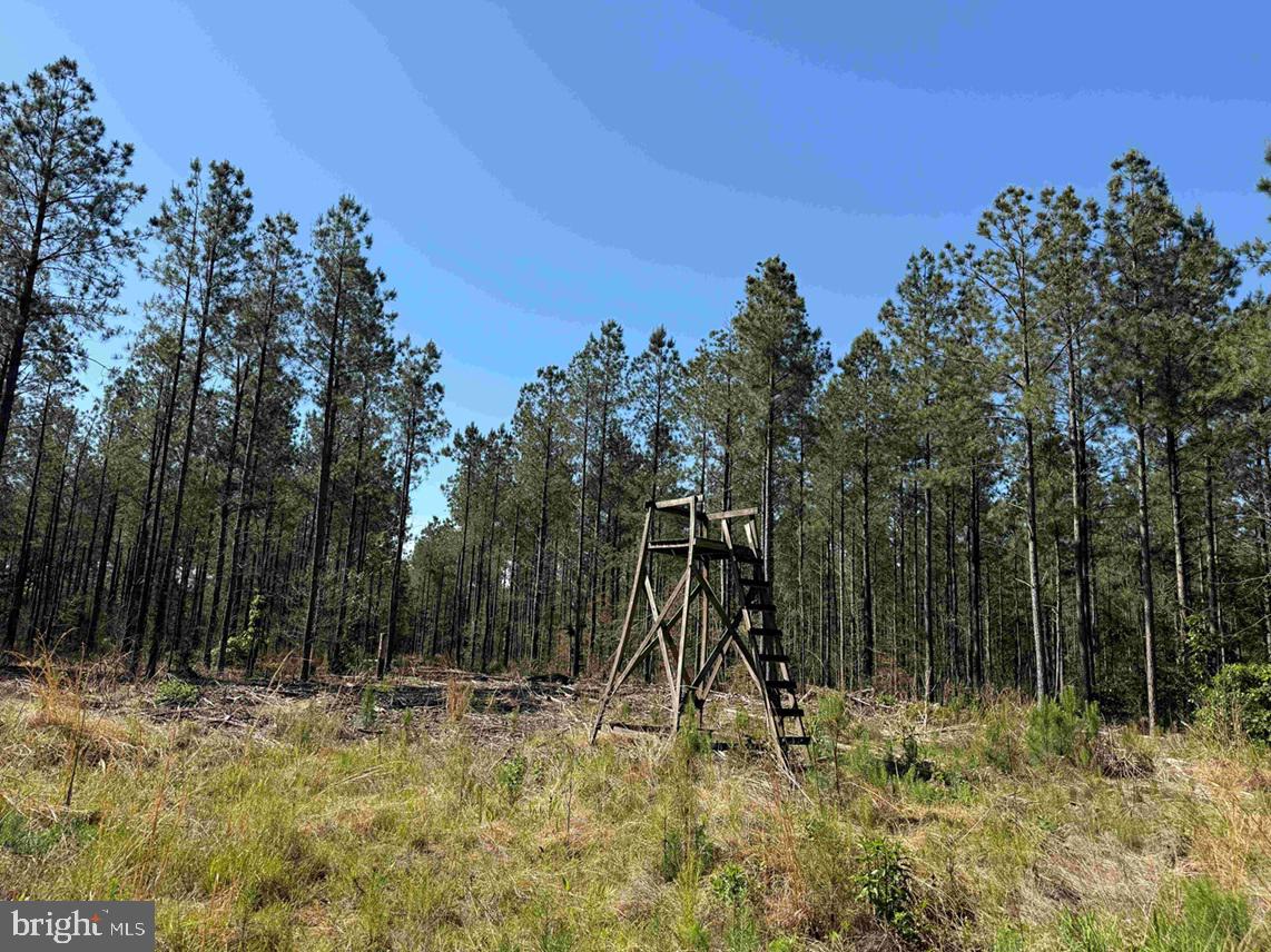 Laurel Drive (tract: Surry Seward-scott) Property Photo 10