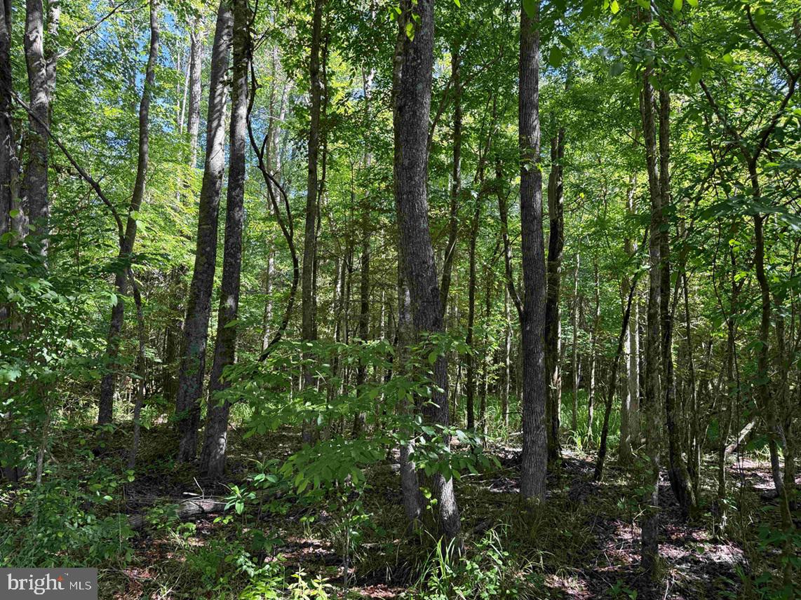 Laurel Drive (tract: Surry Seward-scott) Property Photo 13