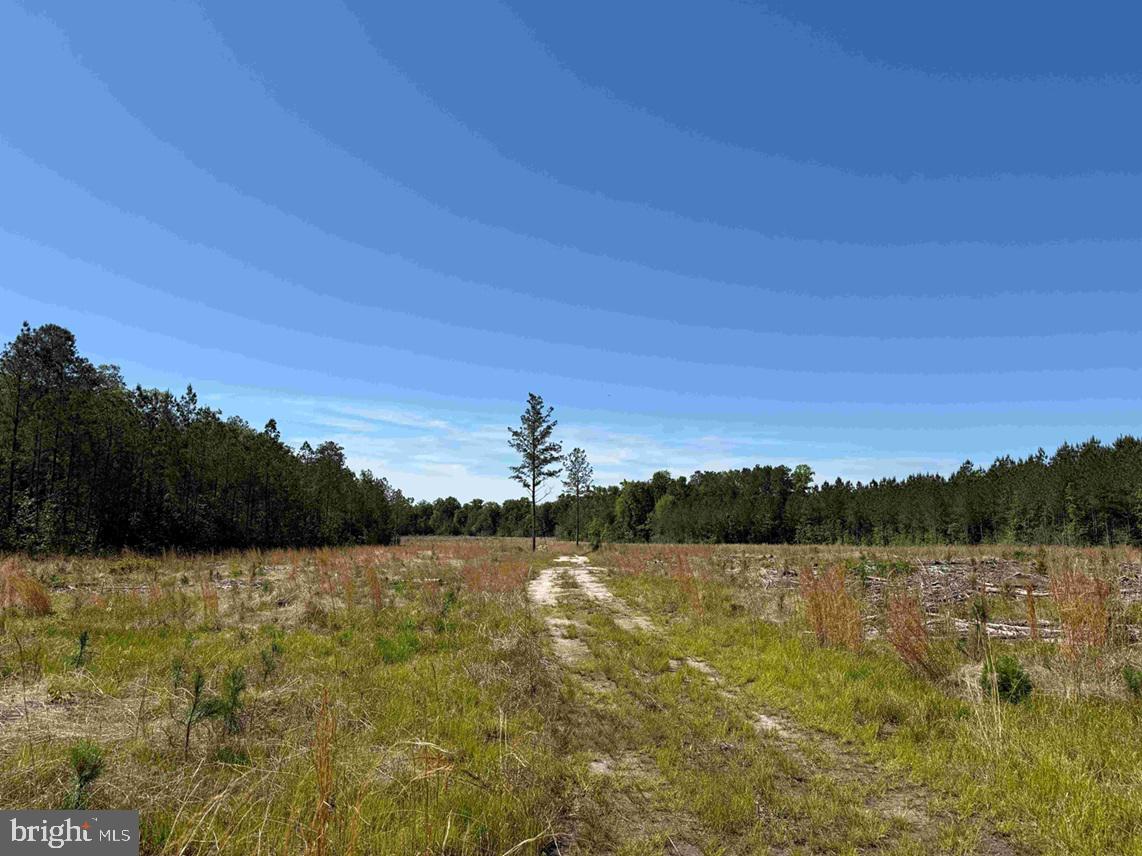 Laurel Drive (tract: Surry Seward-scott) Property Photo 14