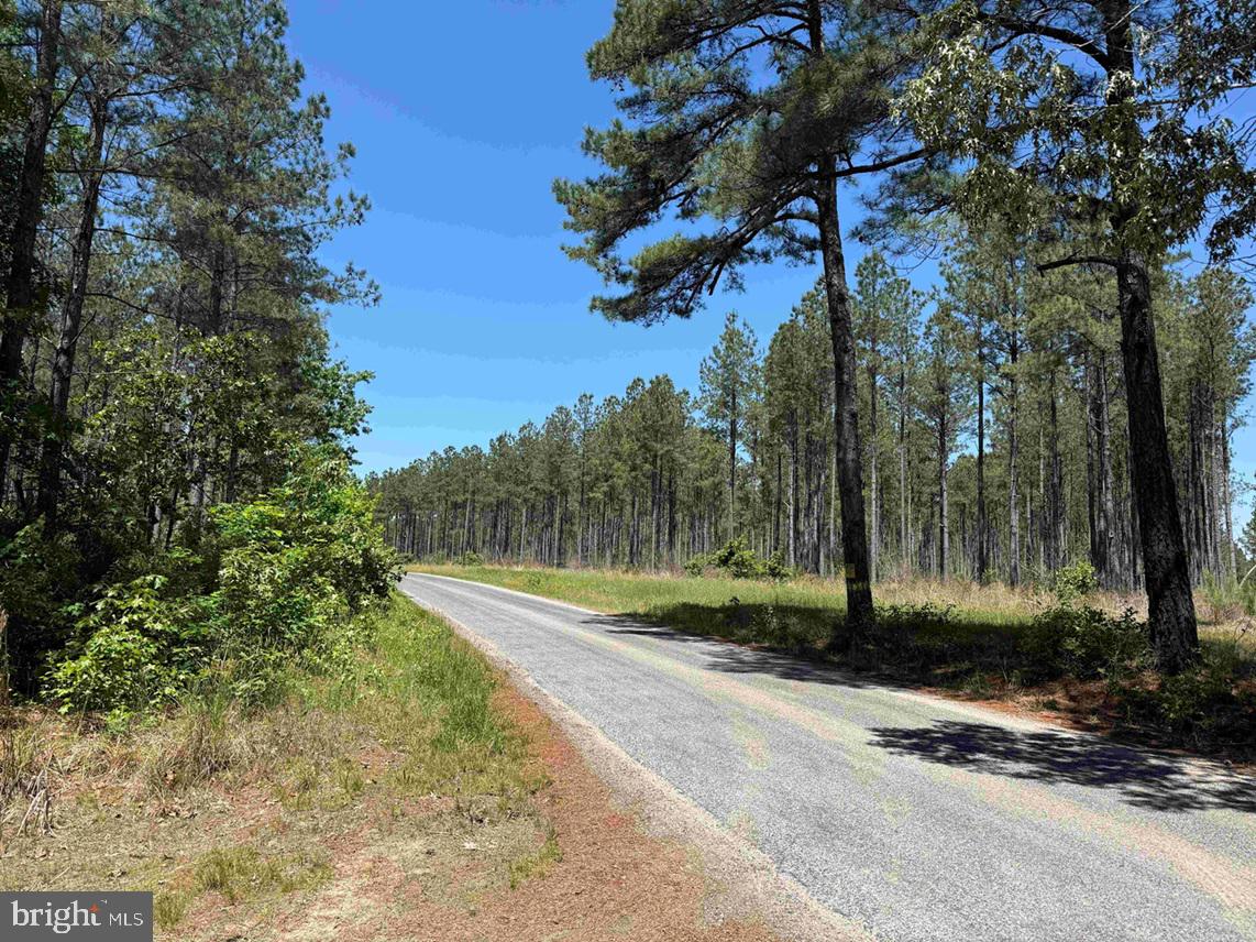 Laurel Drive (tract: Surry Seward-scott) Property Photo 29
