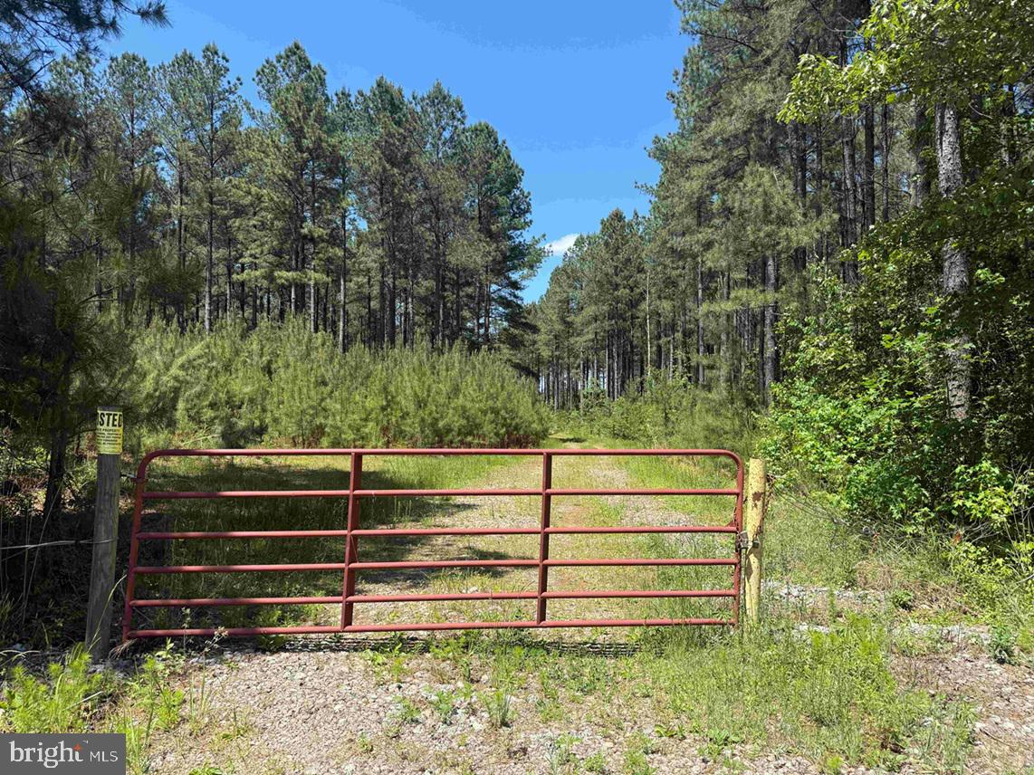 Laurel Springs Road (tract: Surry Dr. Williams-2) Property Photo 1