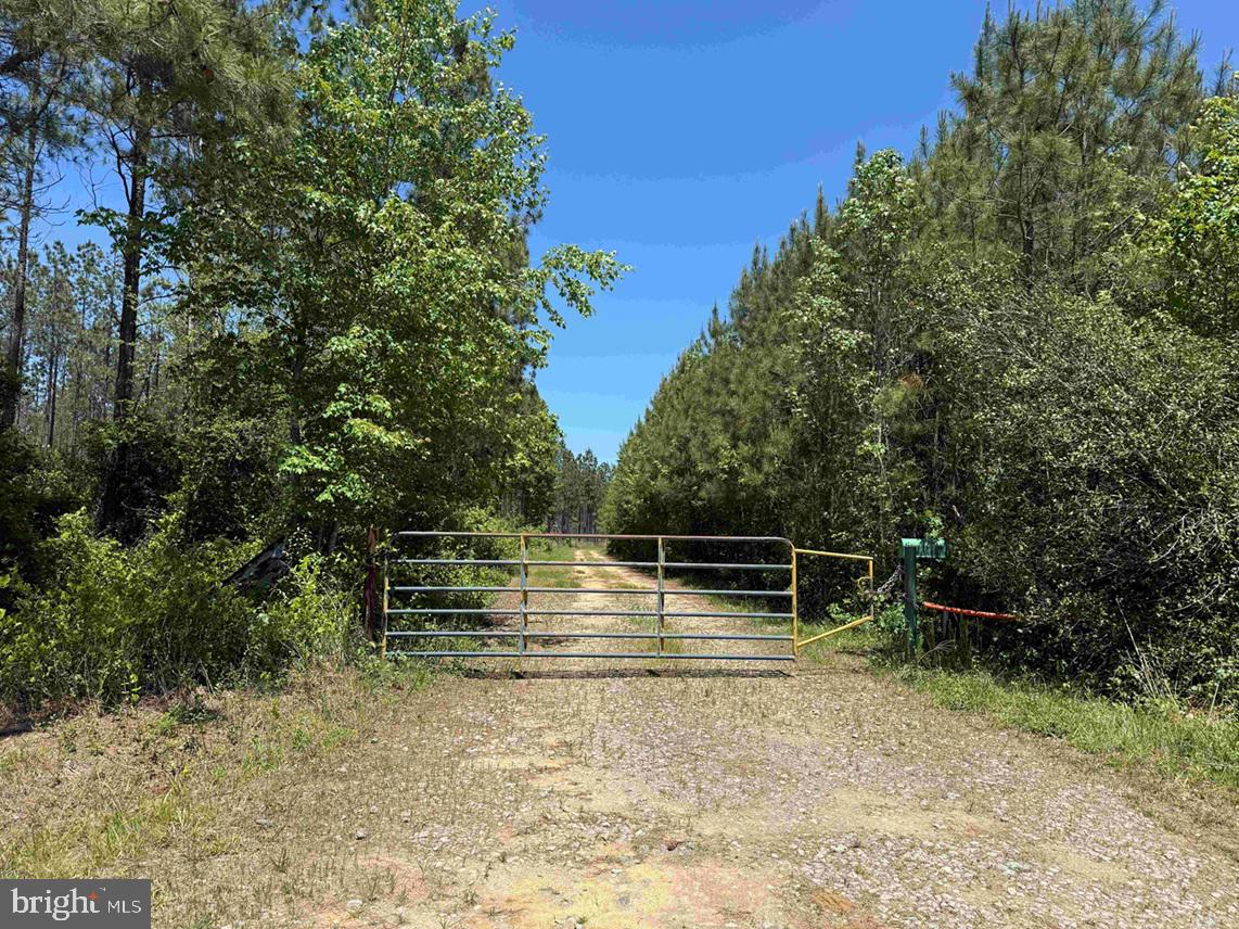 LAUREL SPRINGS ROAD (TRACT: DR. WILLIAMS-1)