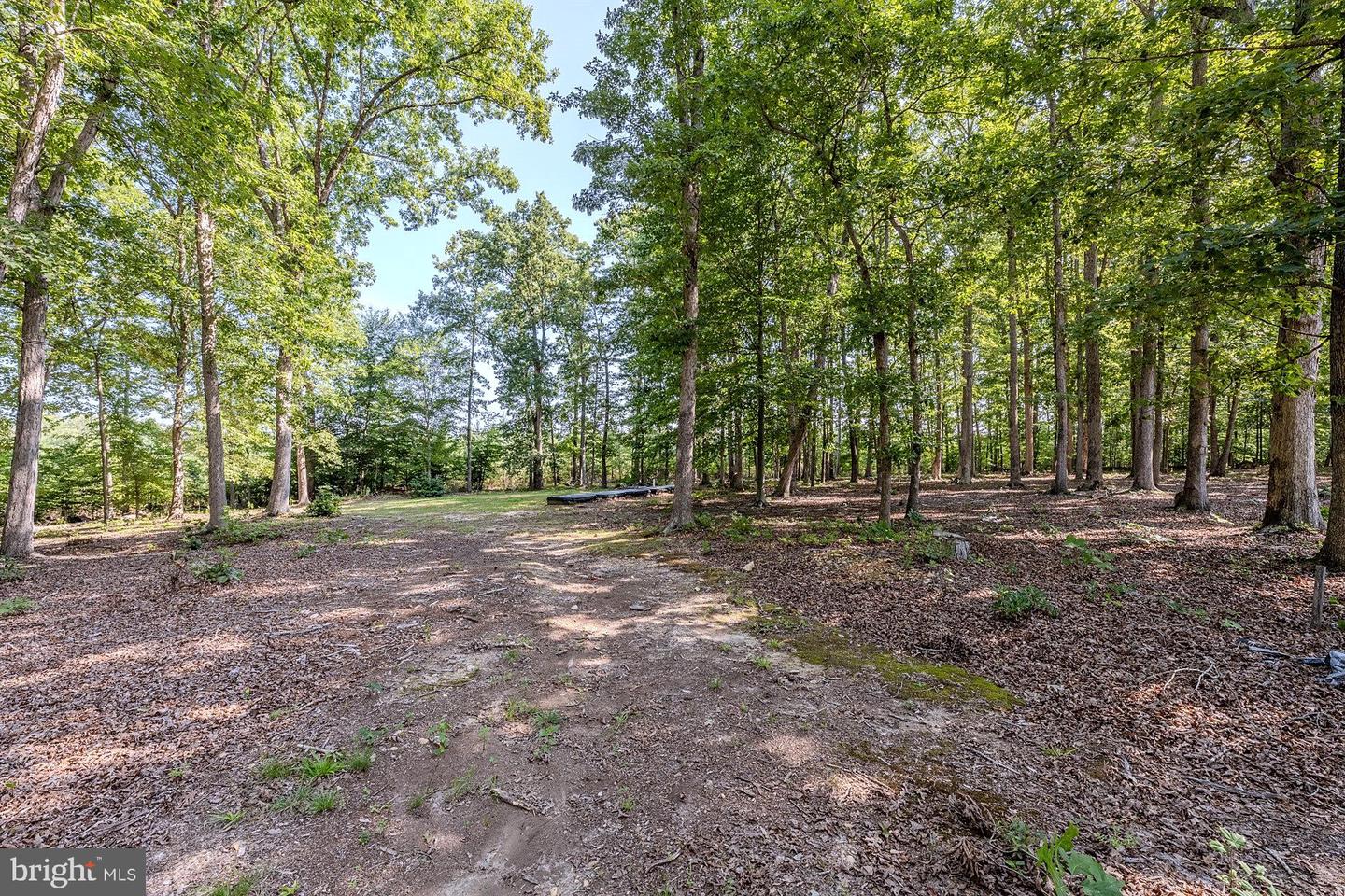 1010 Holly Corner Rd Property Photo 54