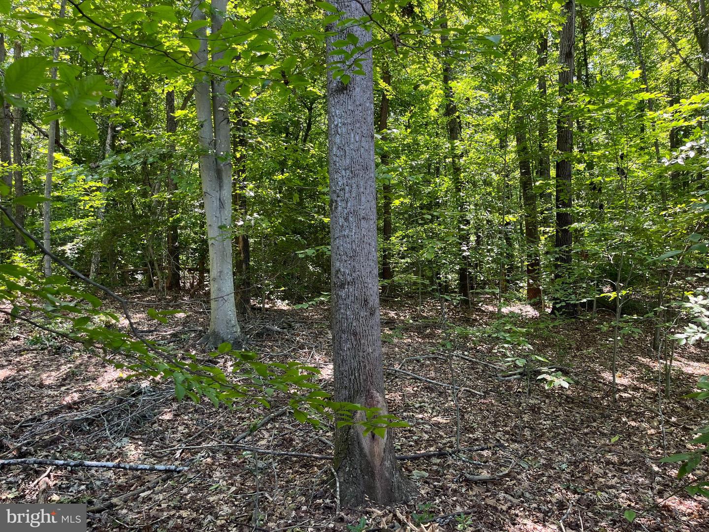 235 Spotted Tavern Rd Property Photo 10