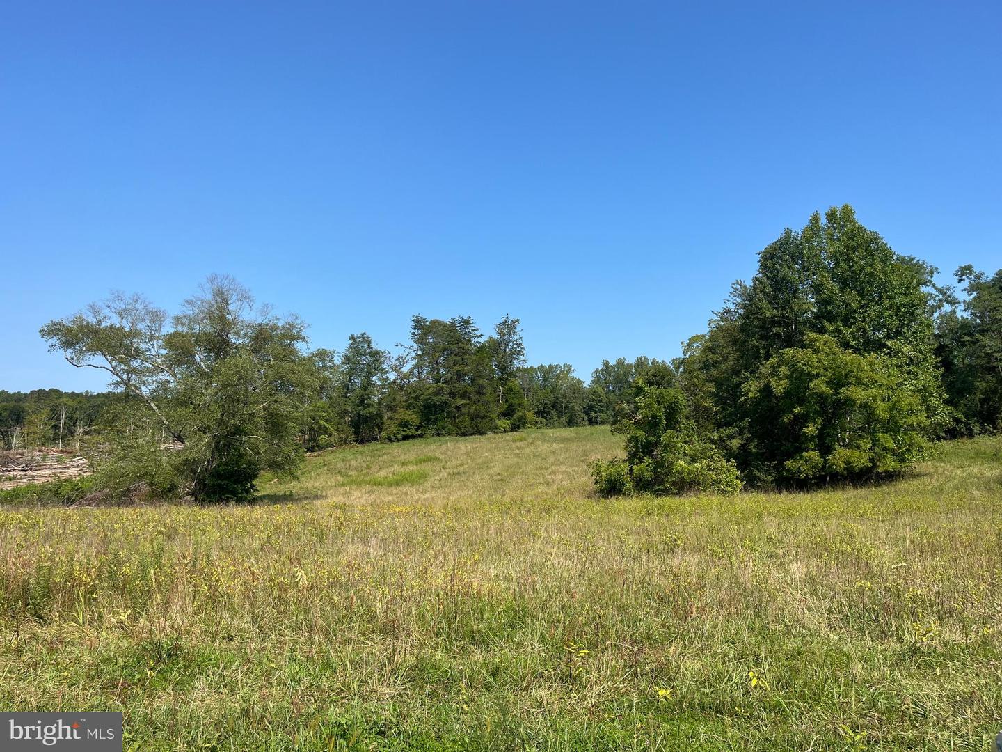 235 Spotted Tavern Rd Property Photo 15