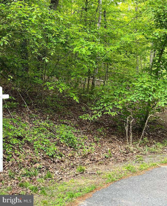-LOT 8 8E HIDDEN LANE Property Photo 1