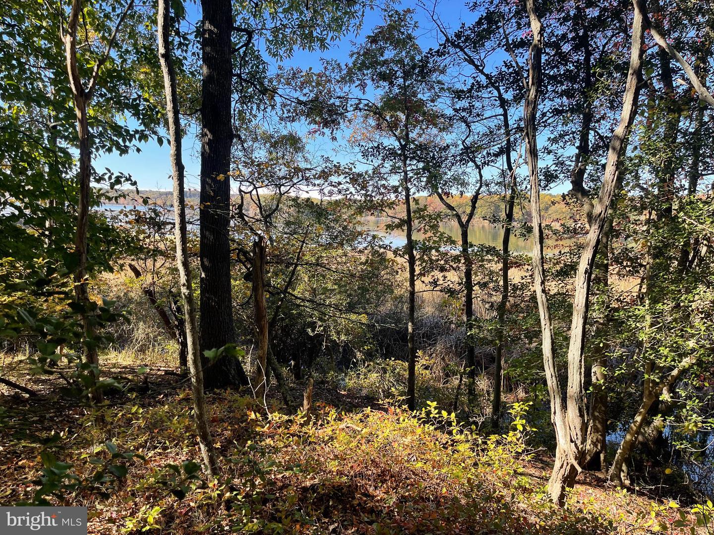 Lot 6 Shady Cove Lane Property Photo 11