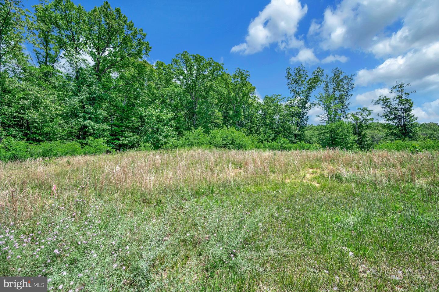 137 Rocky Run Rd Property Photo 14