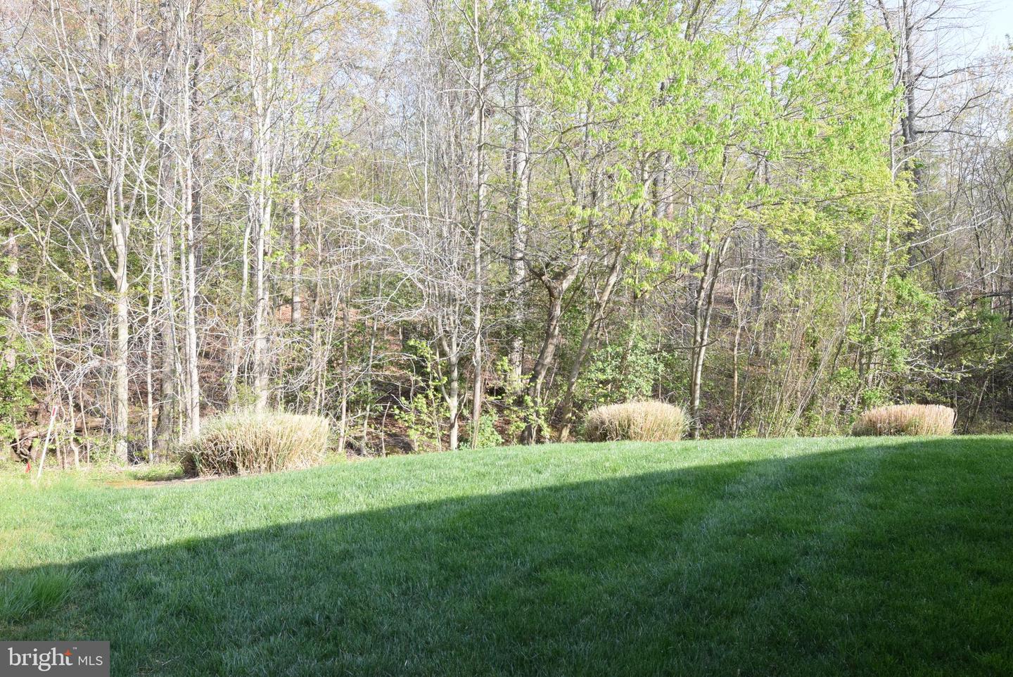 227 Smithfield Way Property Photo 32