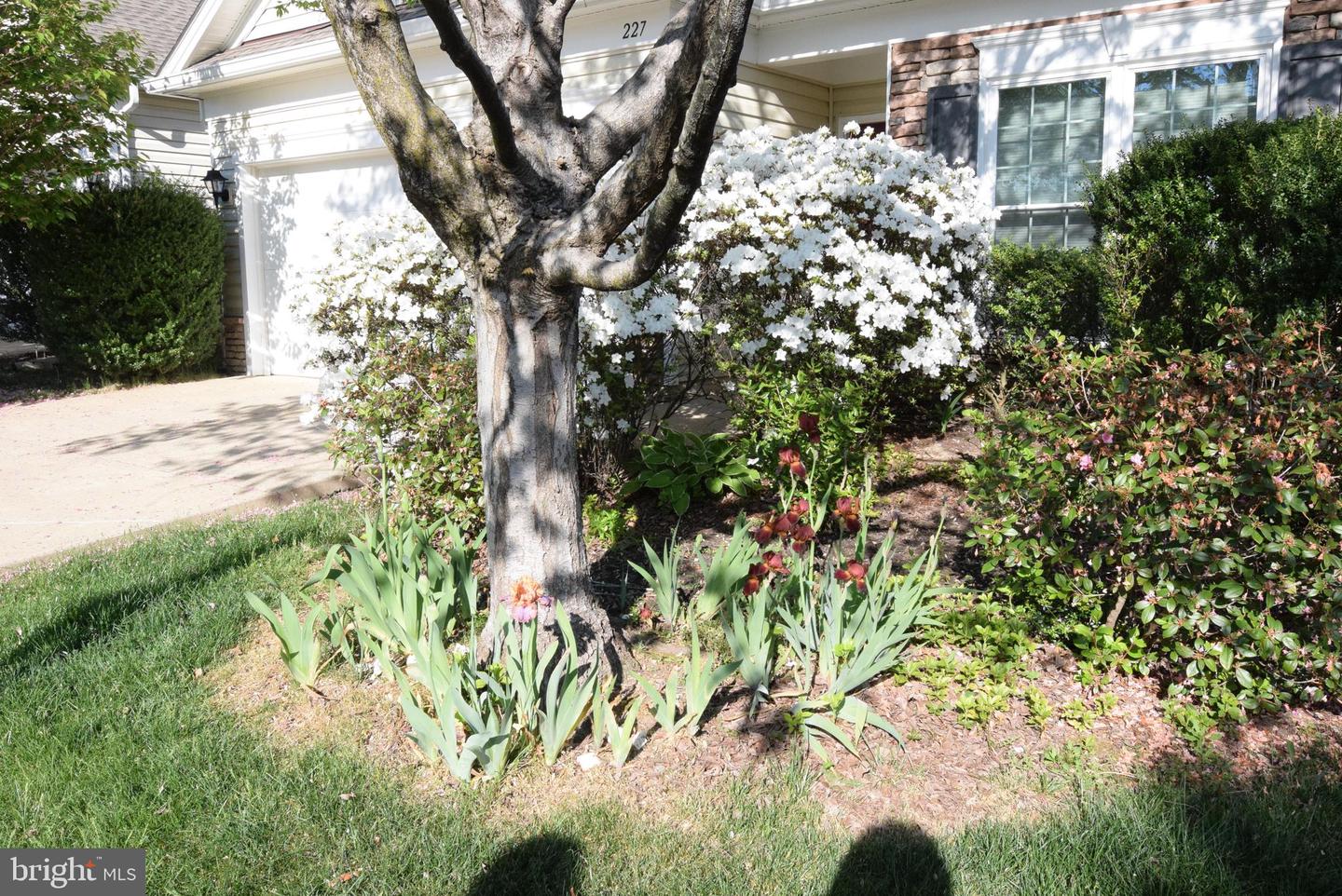 227 Smithfield Way Property Photo 36