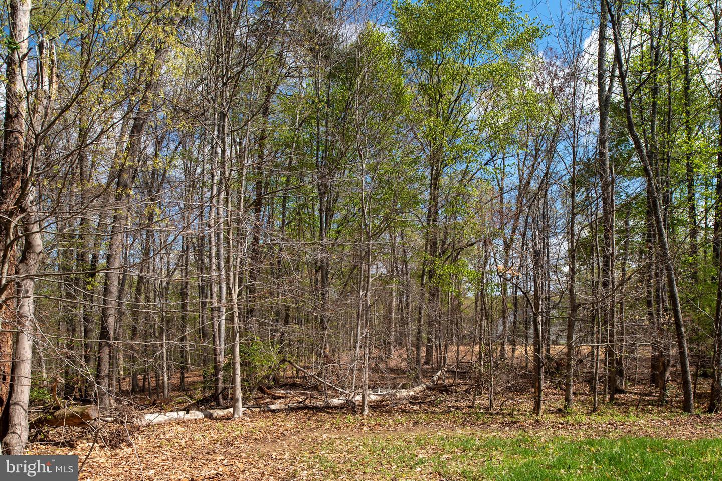11 Aiden Dr Property Photo 67