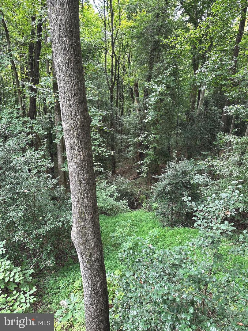 100 Aquia Creek Rd Property Photo 43