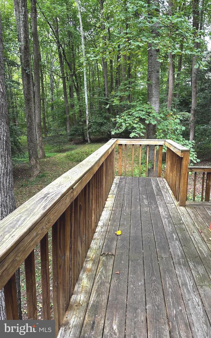 100 Aquia Creek Rd Property Photo 45