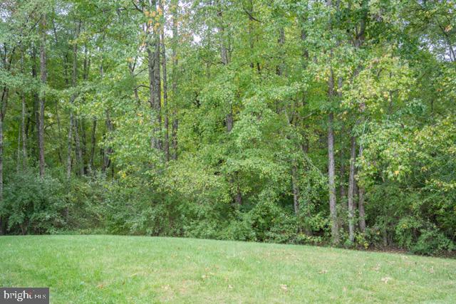 73 Village Grove Rd Property Photo 34
