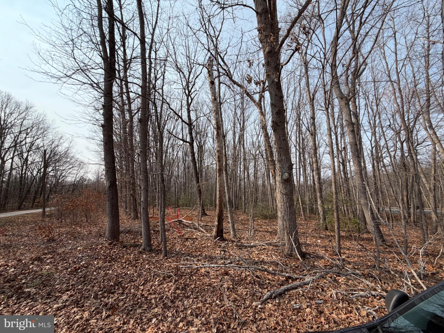 Marsh Ln Property Photo 12