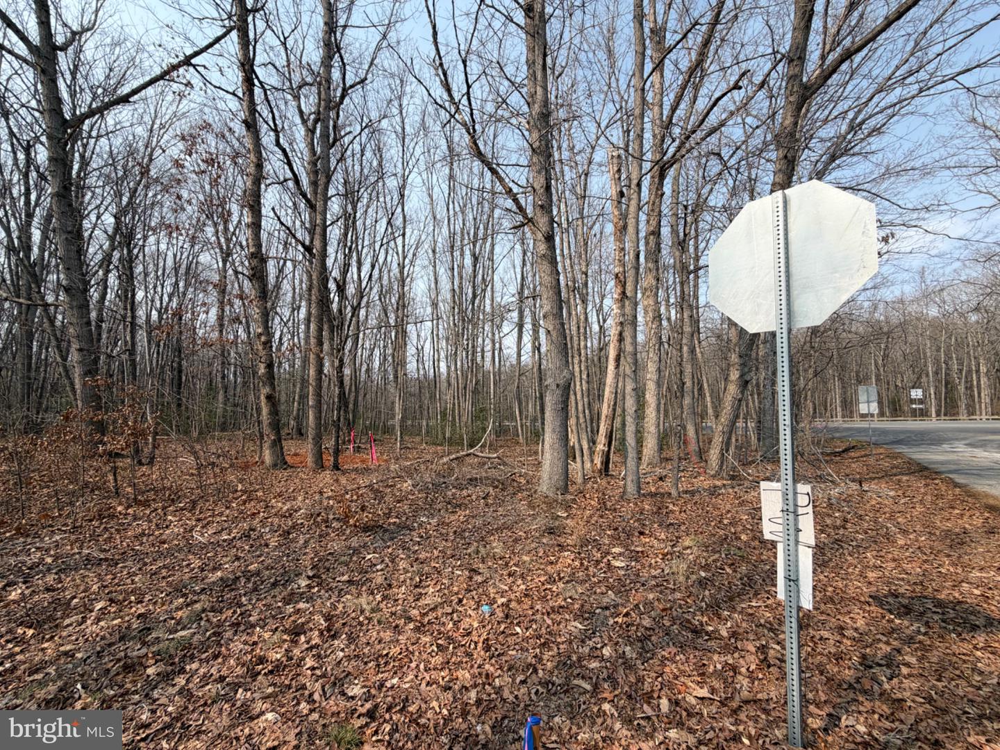 Marsh Ln Property Photo 13