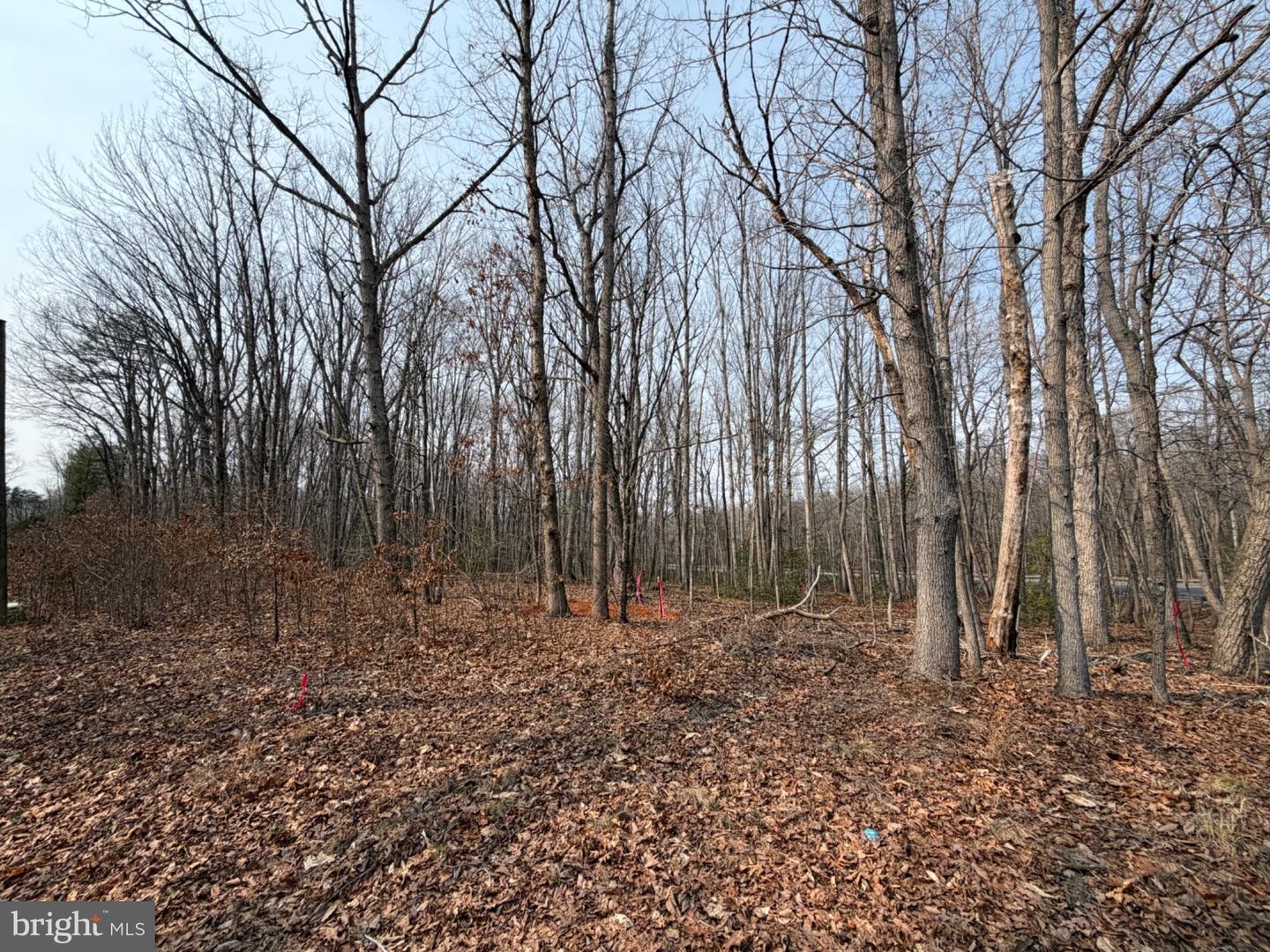 Marsh Ln Property Photo 14