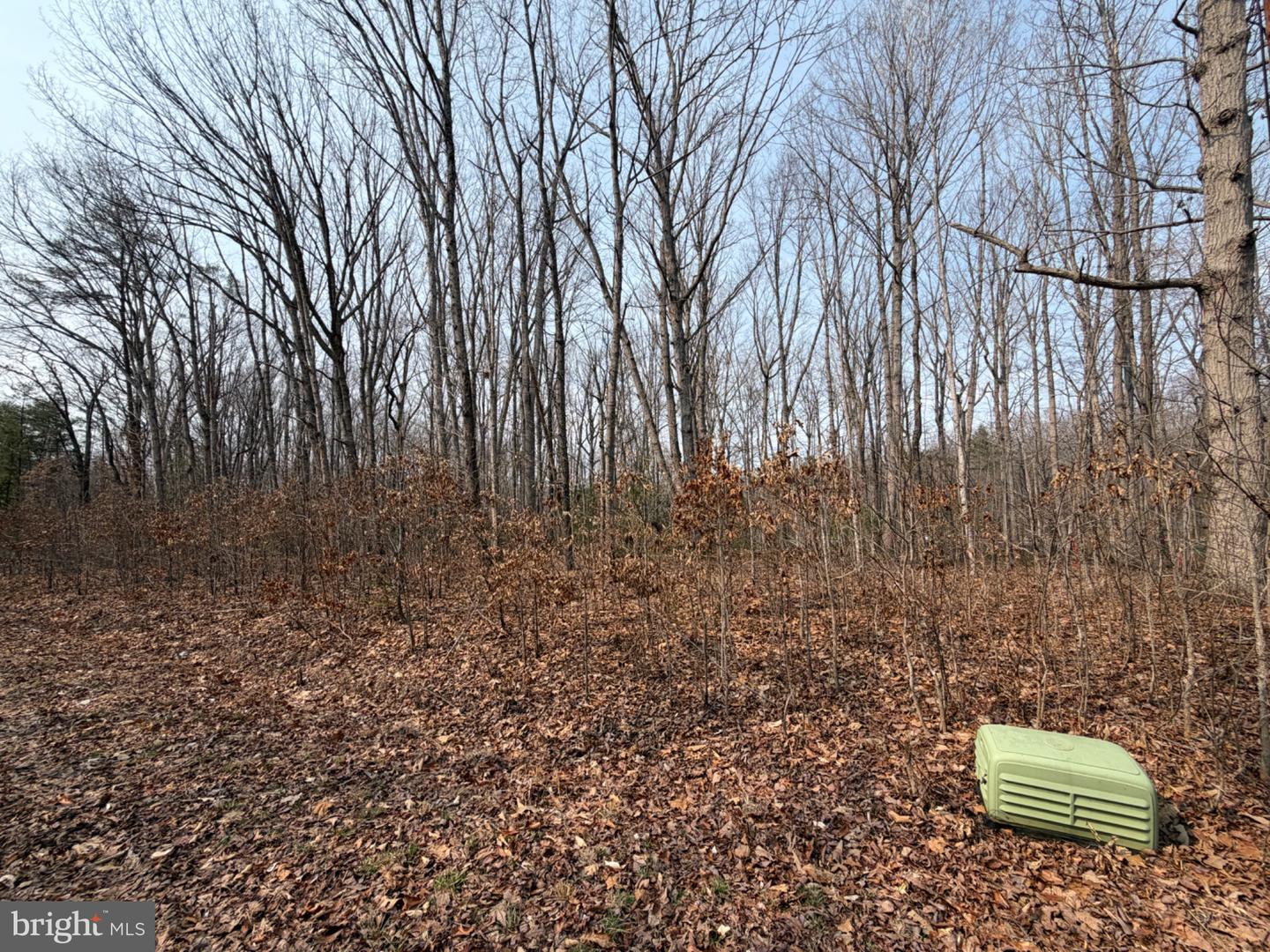 Marsh Ln Property Photo 15