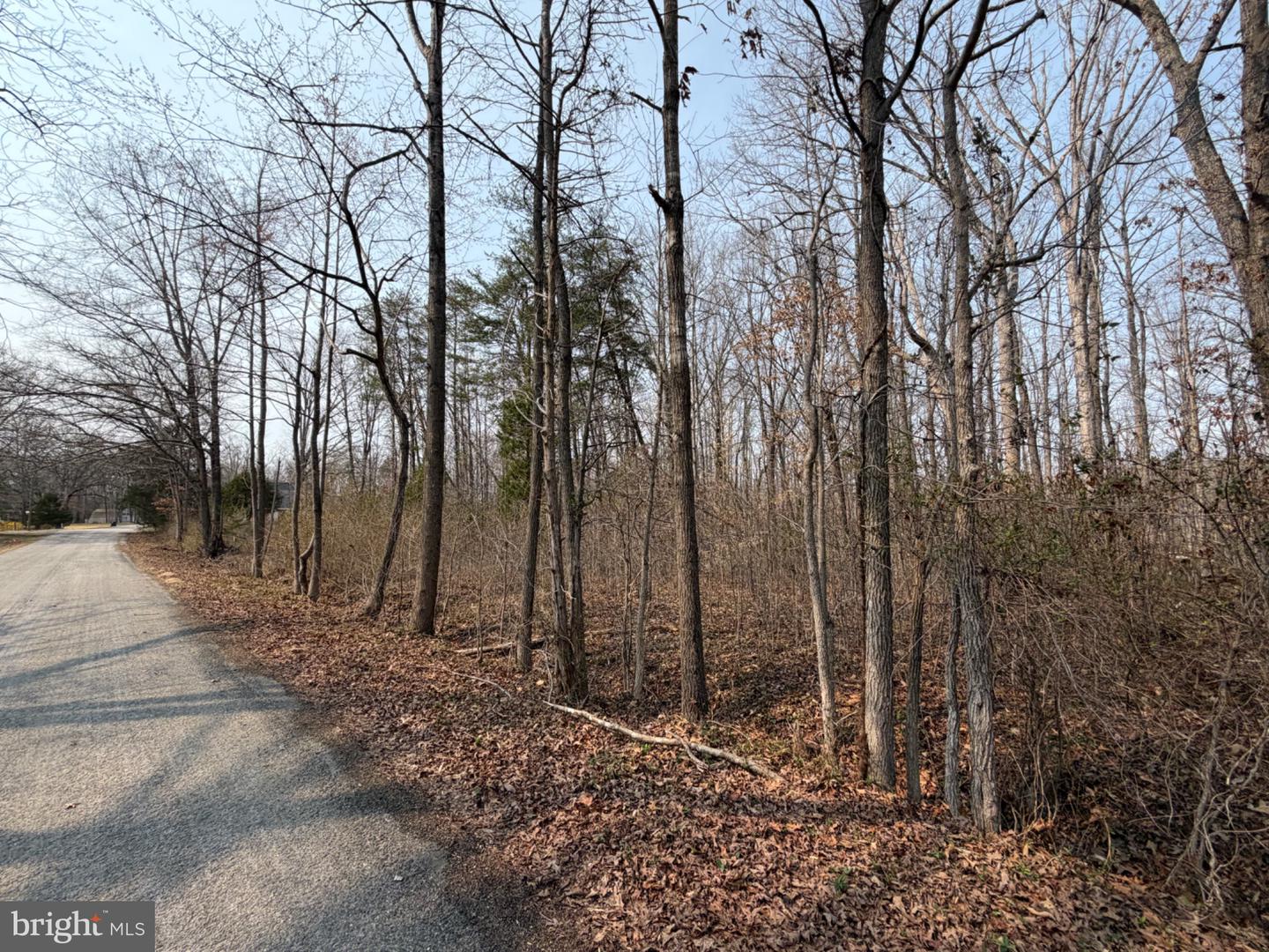 Marsh Ln Property Photo 18