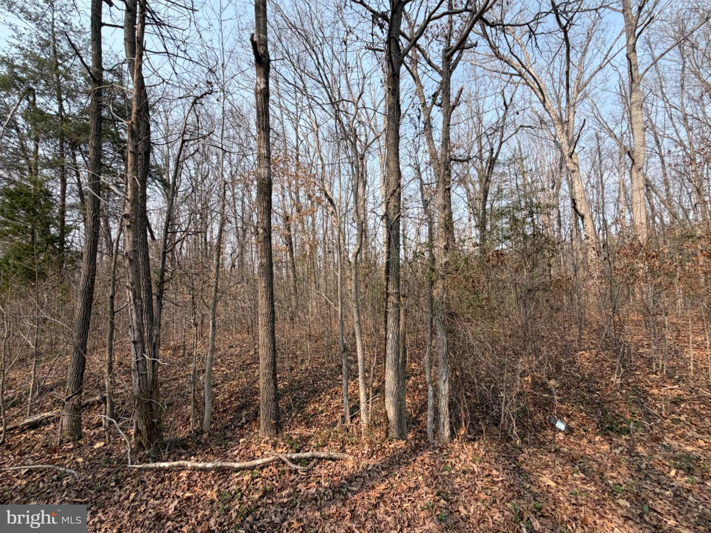 Marsh Ln Property Photo 19
