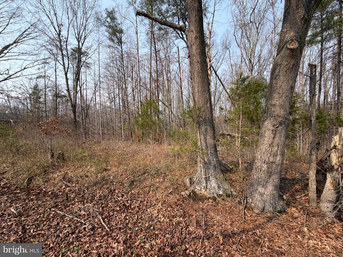 Marsh Ln Property Photo 22