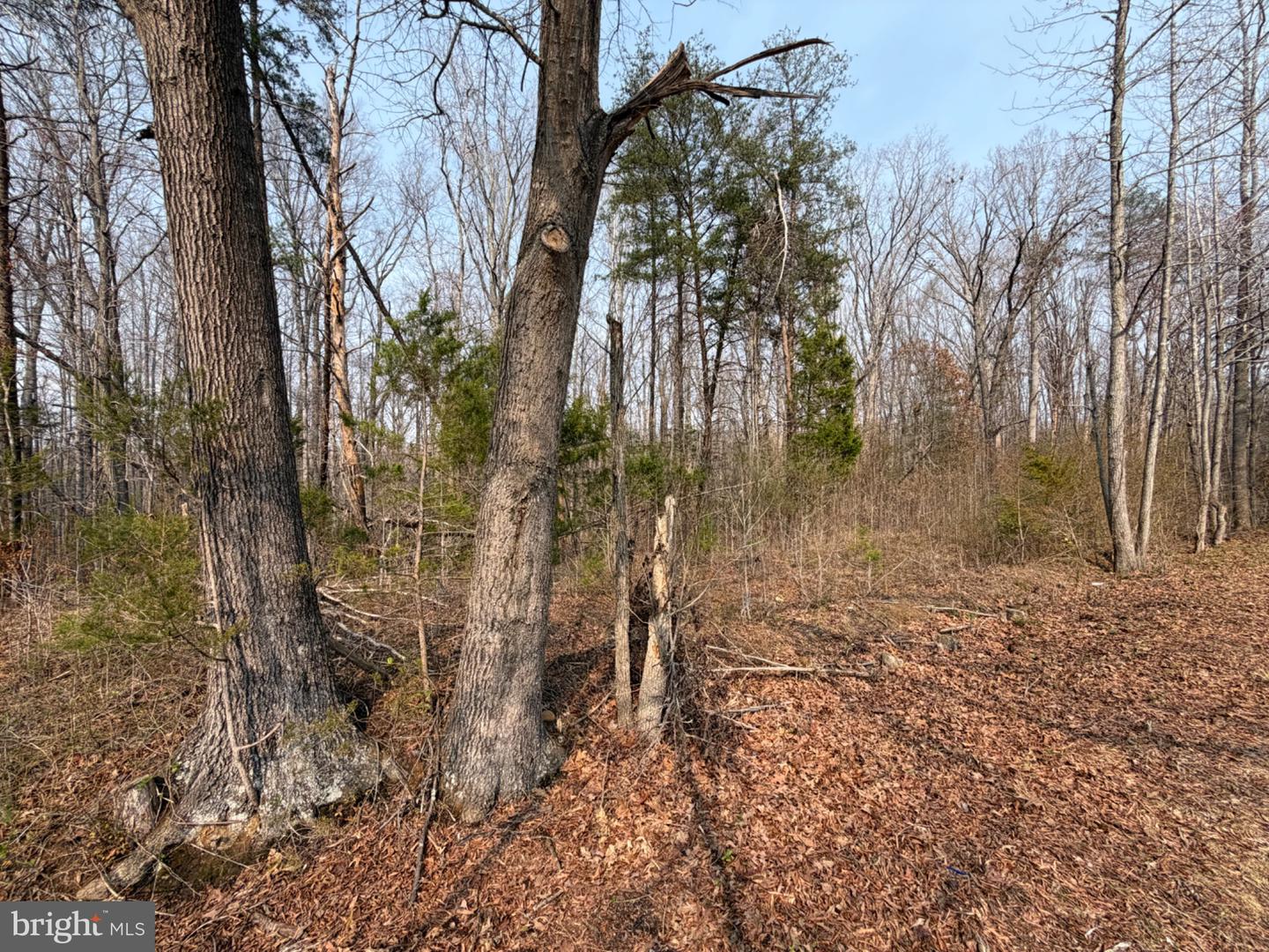 Marsh Ln Property Photo 23