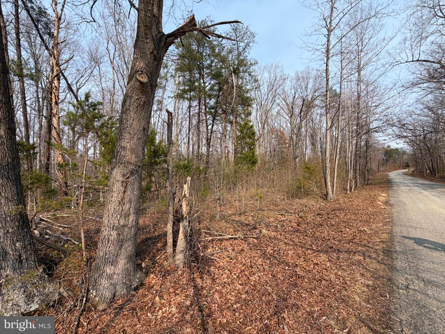 Marsh Ln Property Photo 24
