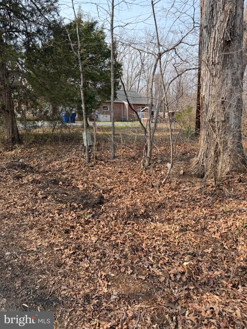 Marsh Ln Property Photo 25