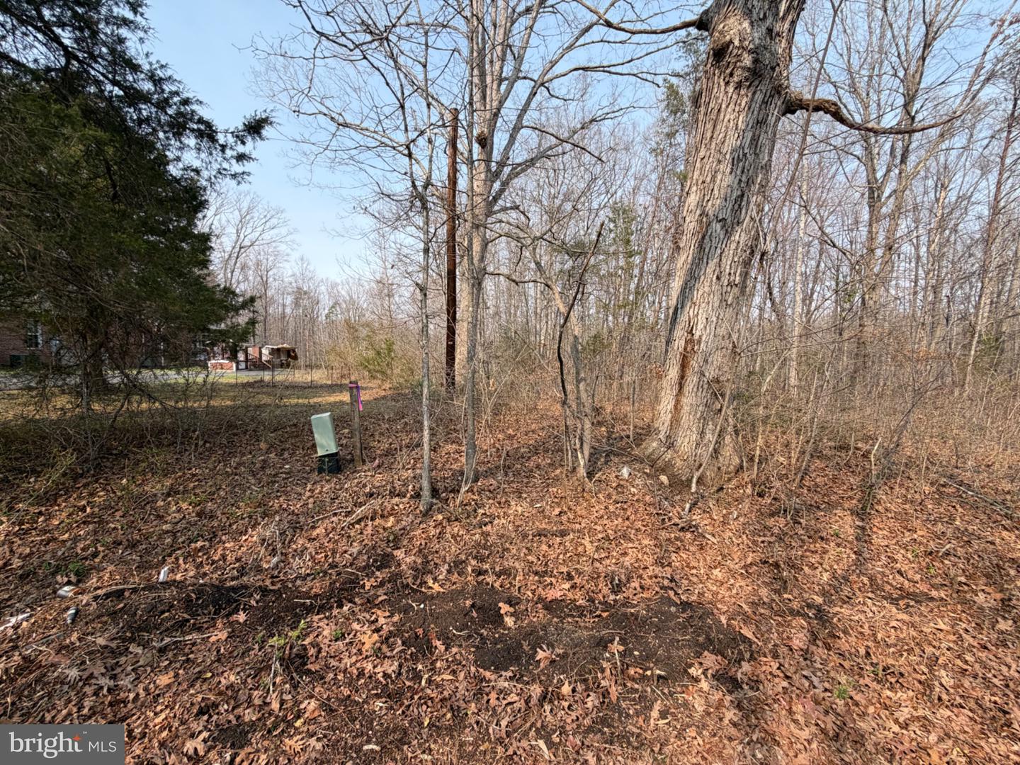 Marsh Ln Property Photo 26