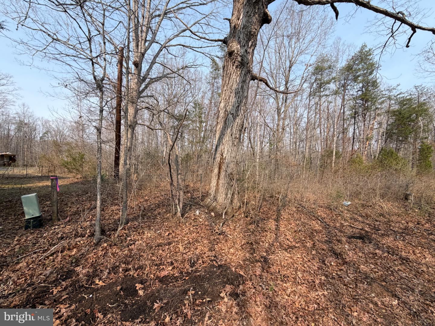 Marsh Ln Property Photo 27