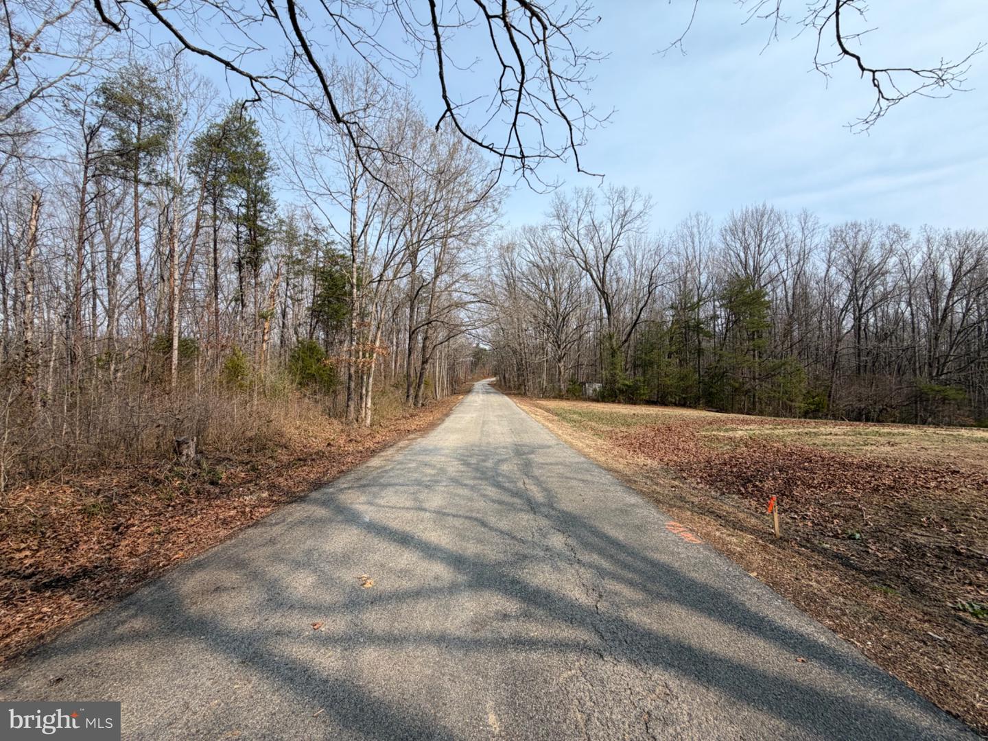 Marsh Ln Property Photo 28