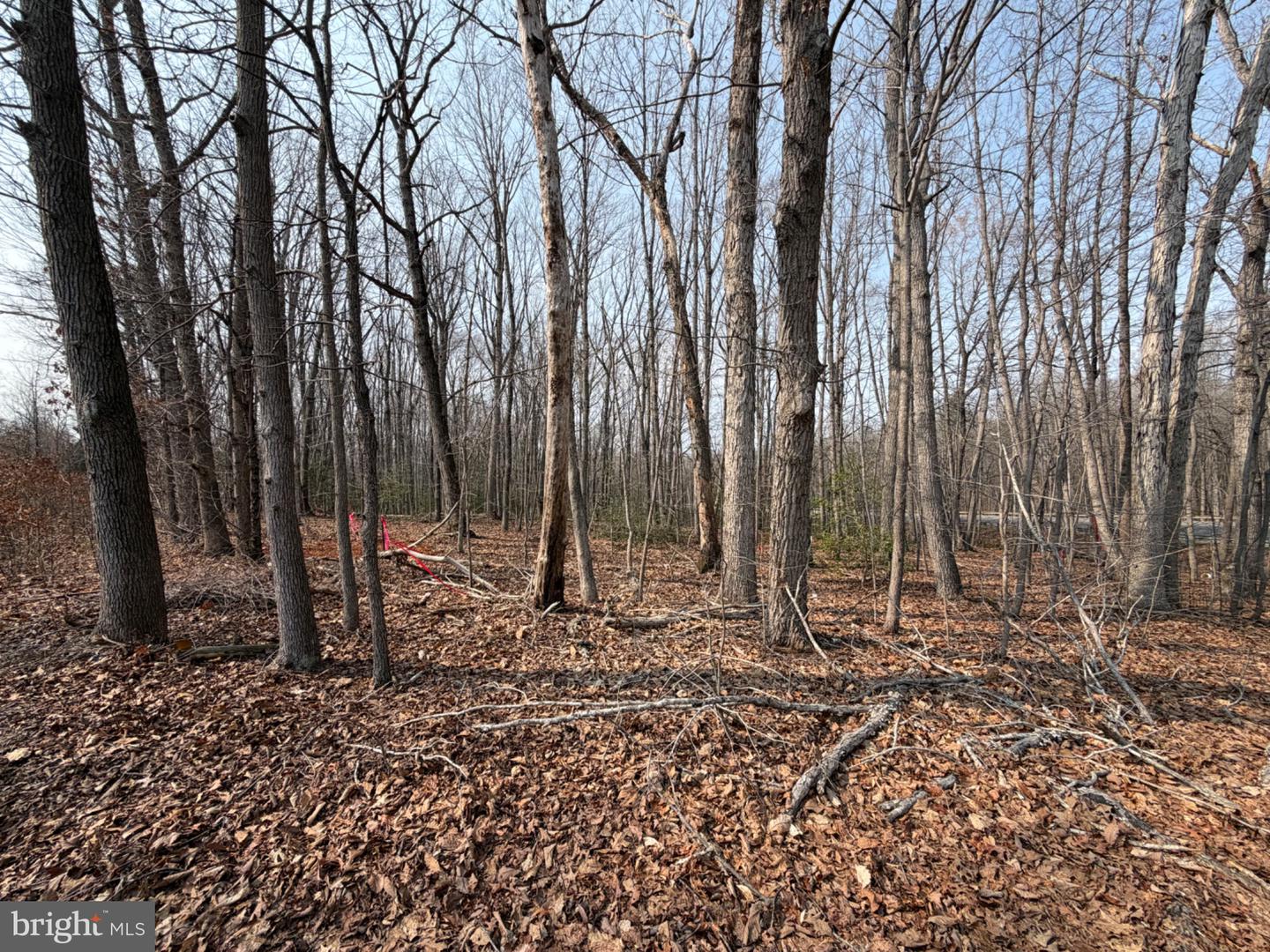 Marsh Ln Property Photo 31