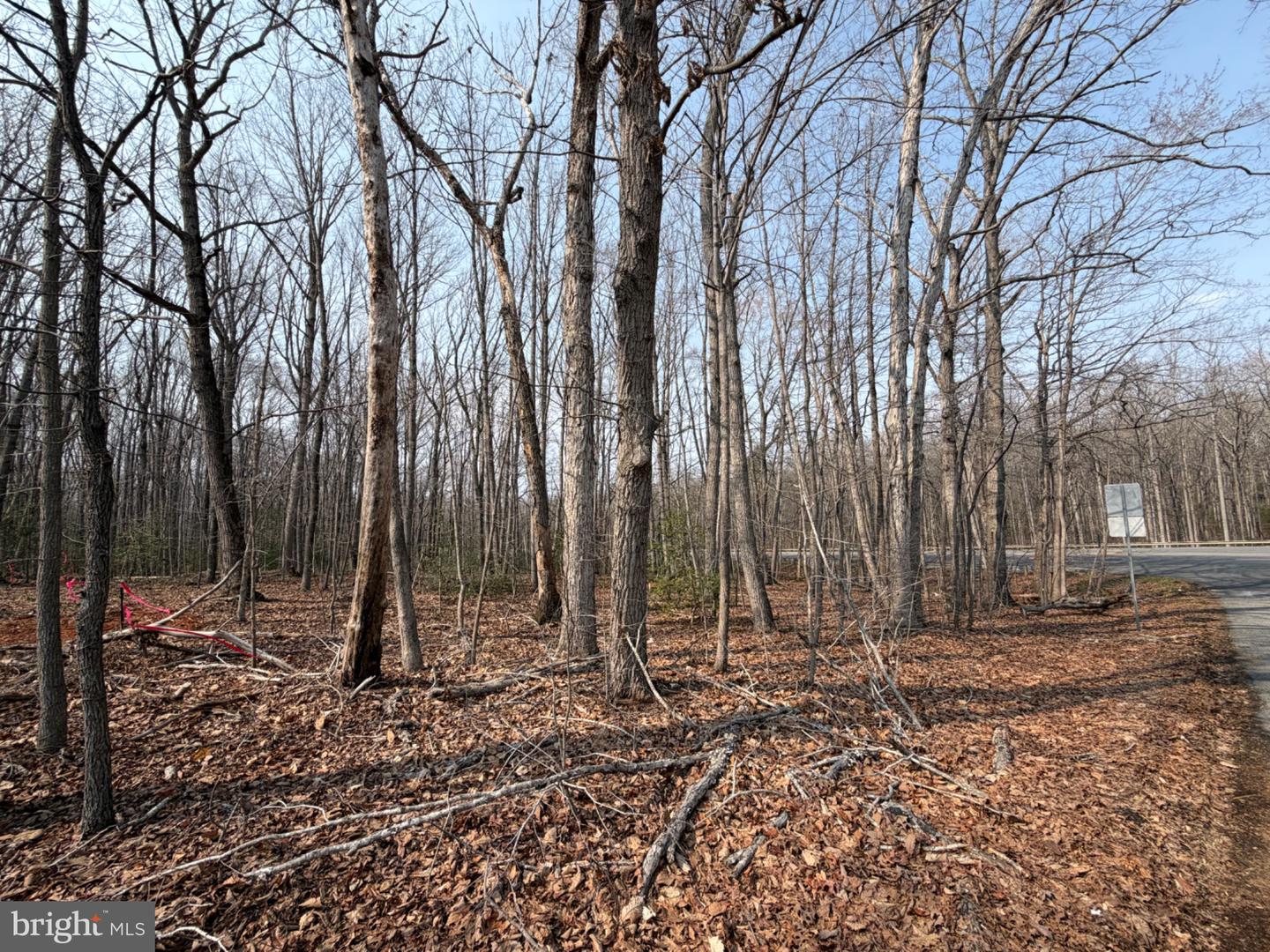 Marsh Ln Property Photo 32