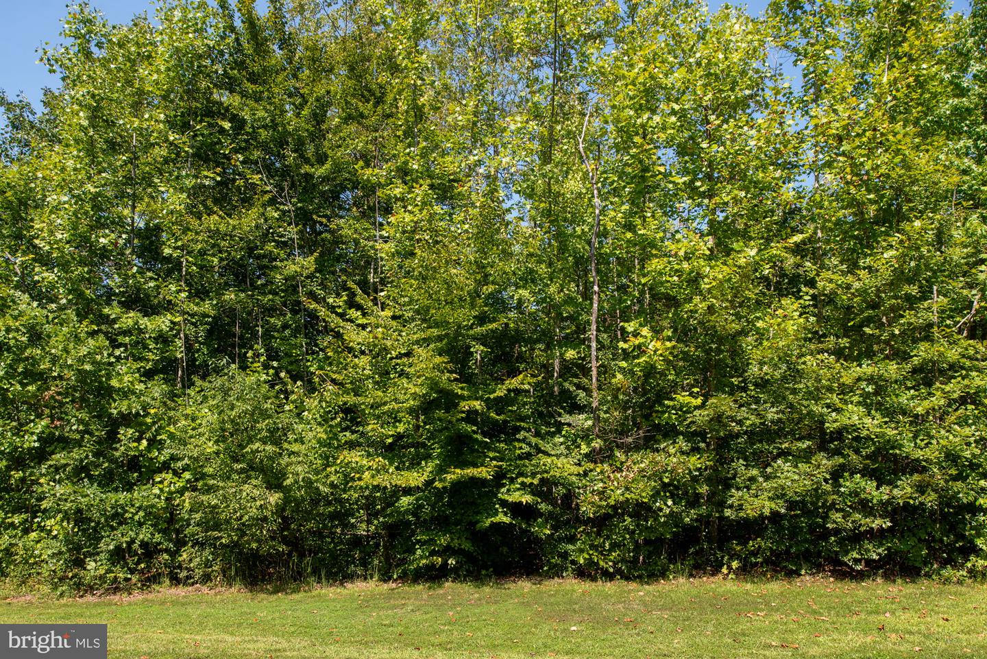 425 Wakerobin Dr Property Photo 84