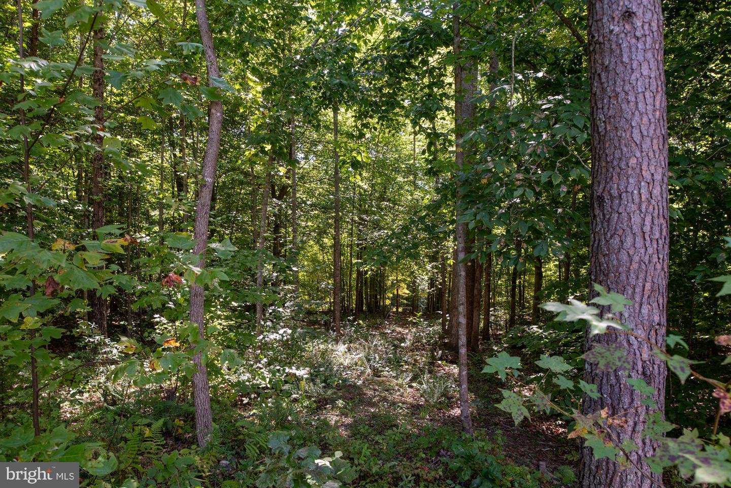 425 Wakerobin Dr Property Photo 87