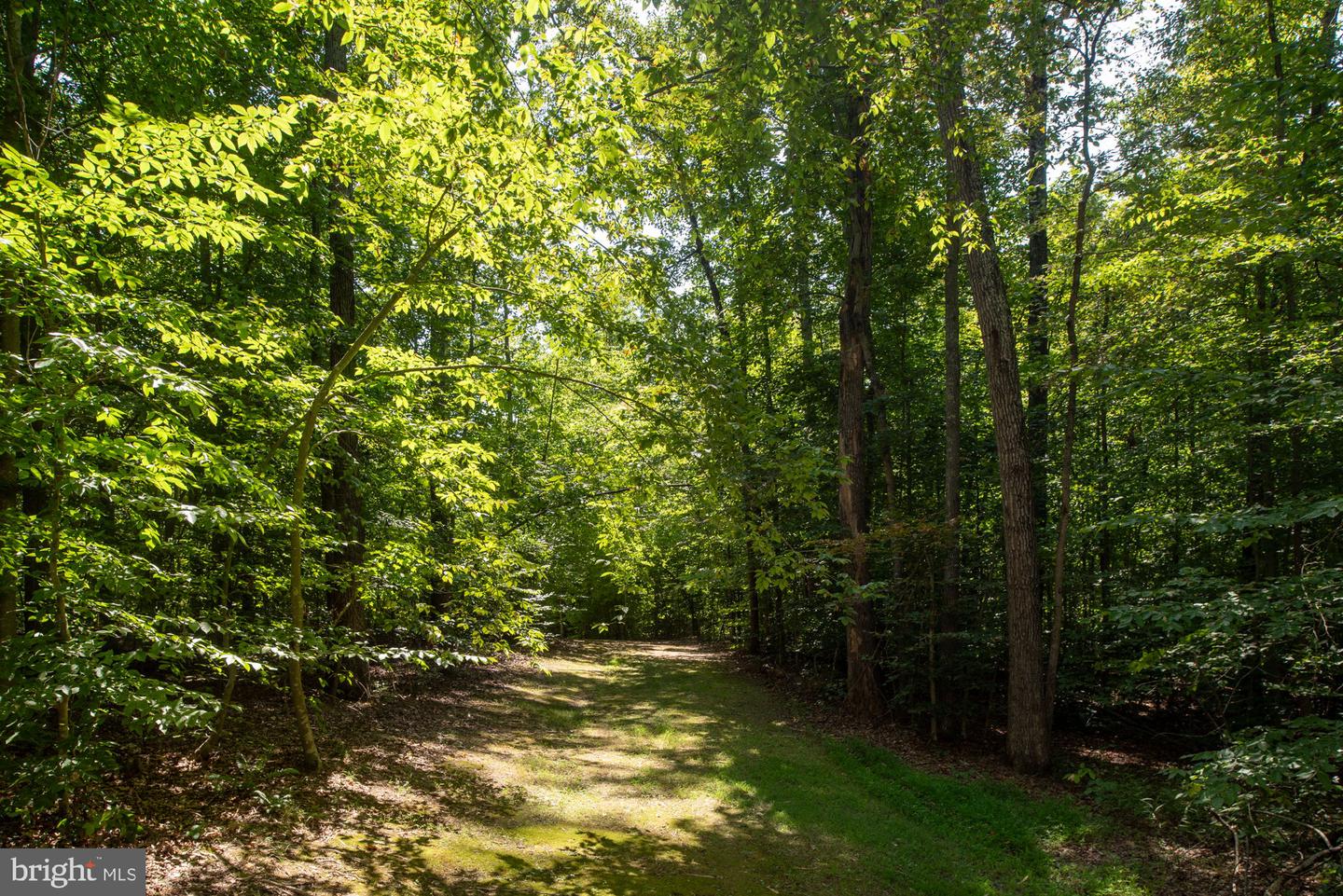 425 Wakerobin Dr Property Photo 89