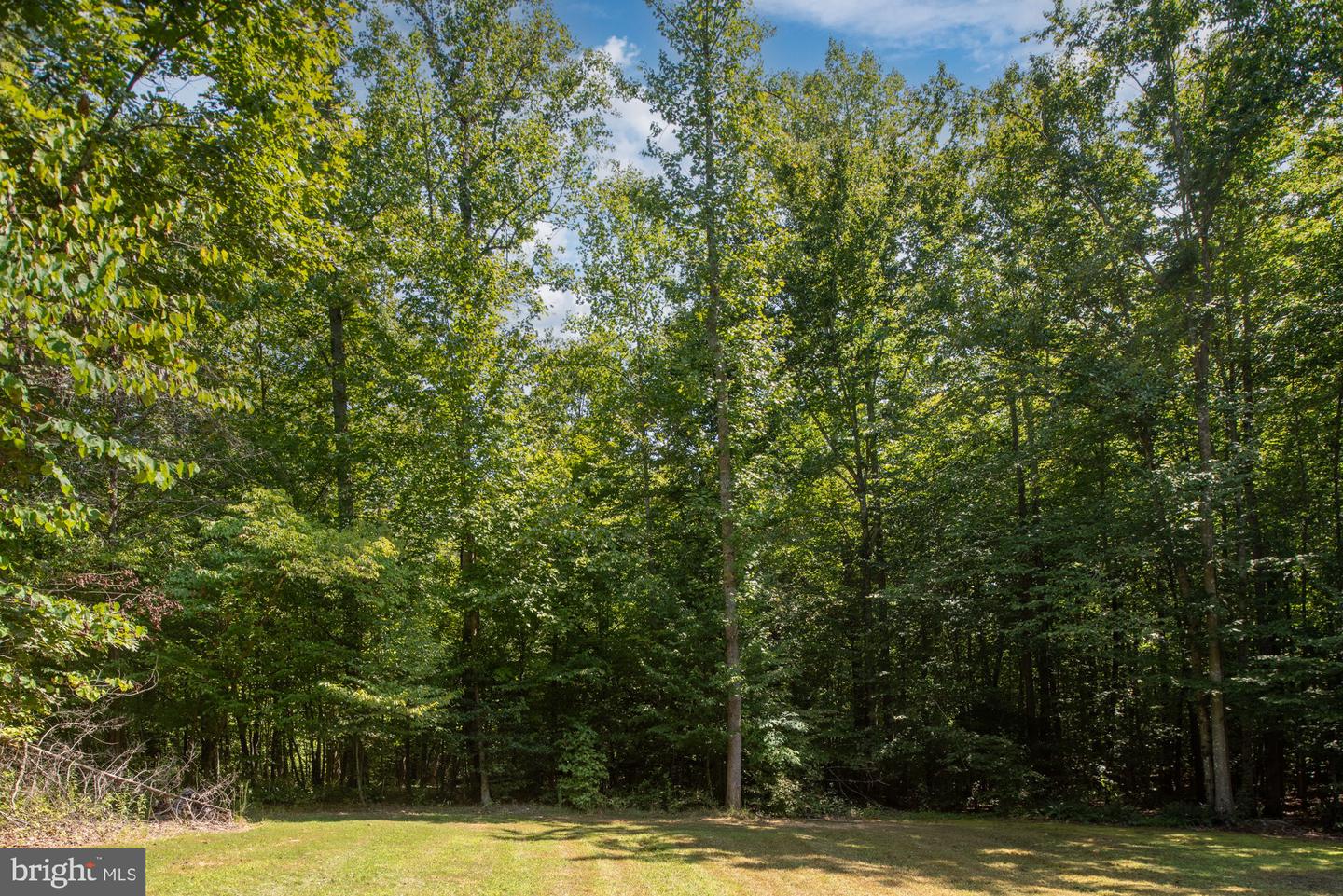 425 Wakerobin Dr Property Photo 100