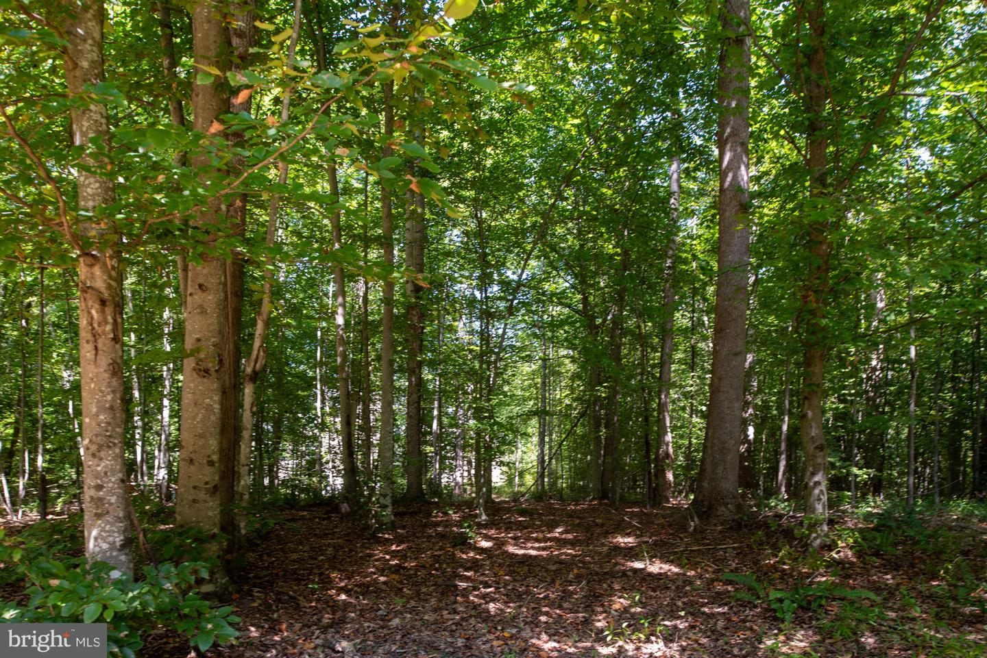 425 Wakerobin Dr Property Photo 103
