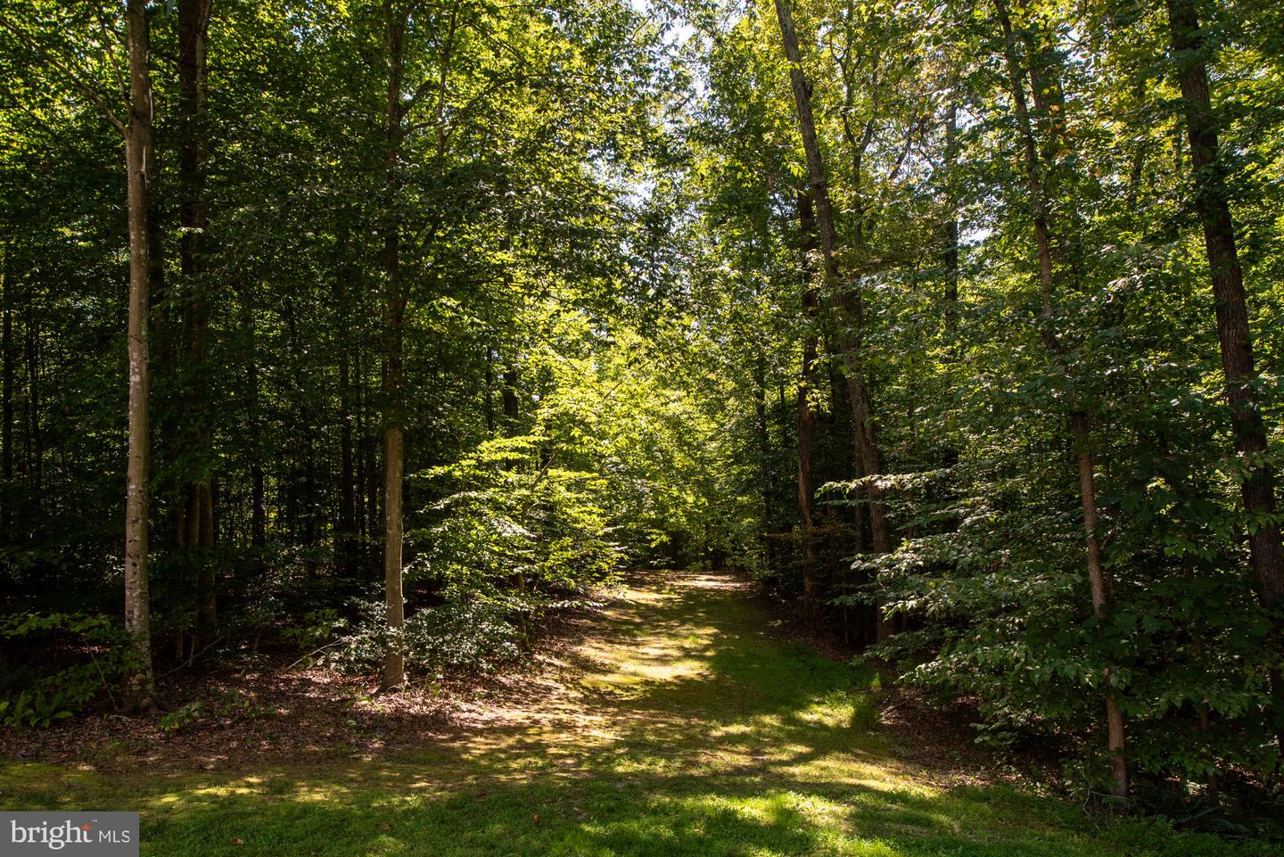 425 Wakerobin Dr Property Photo 107
