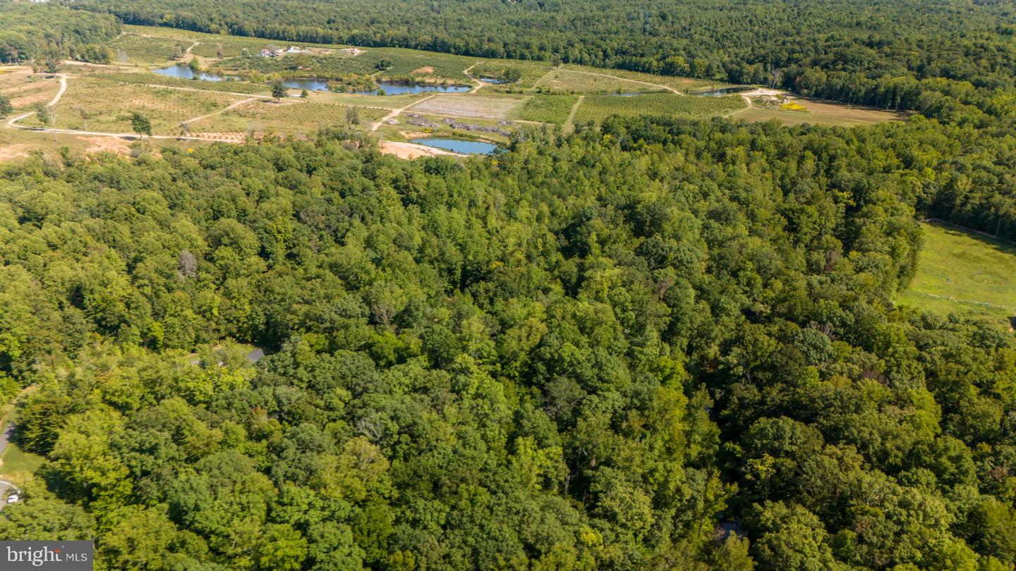 425 Wakerobin Dr Property Photo 116