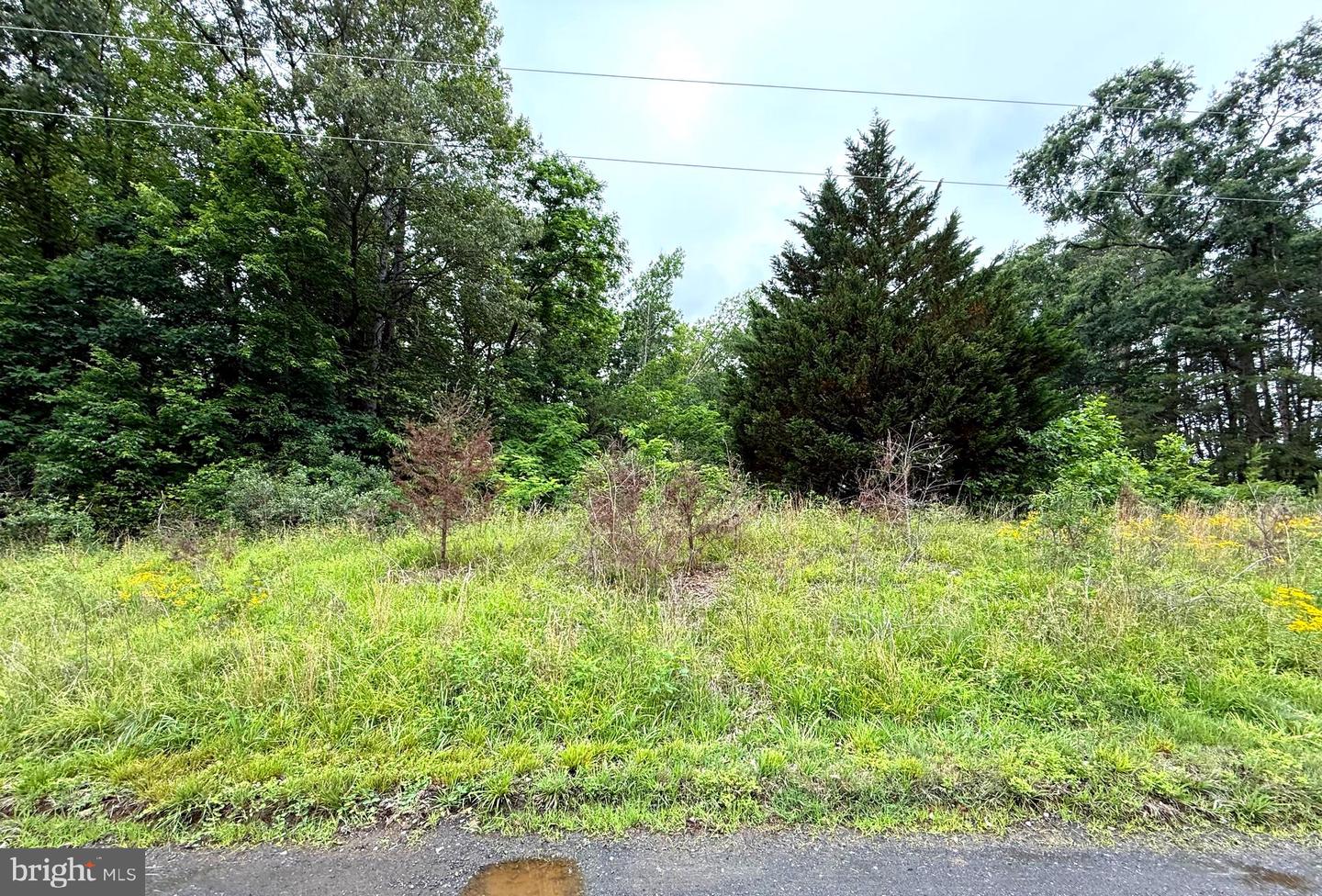 47 Delmar Ln Property Photo 1