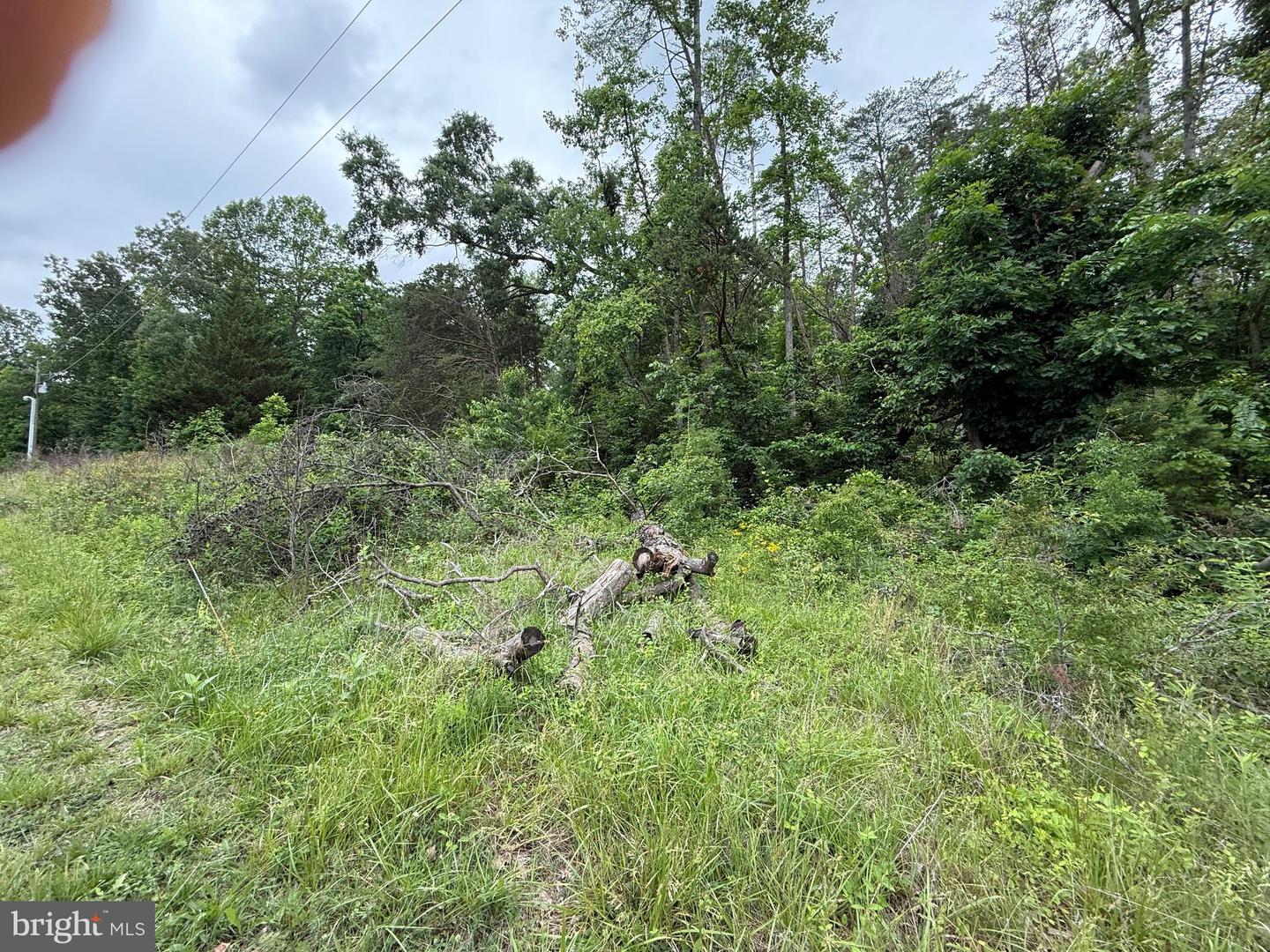 47 Delmar Ln Property Photo 2