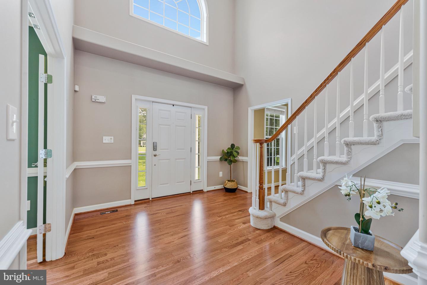 12 Blossom Tree Ct Property Photo 3