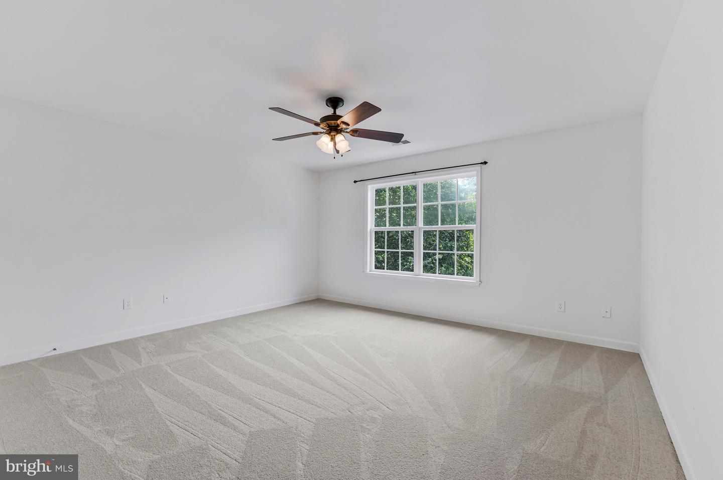 12 Blossom Tree Ct Property Photo 40