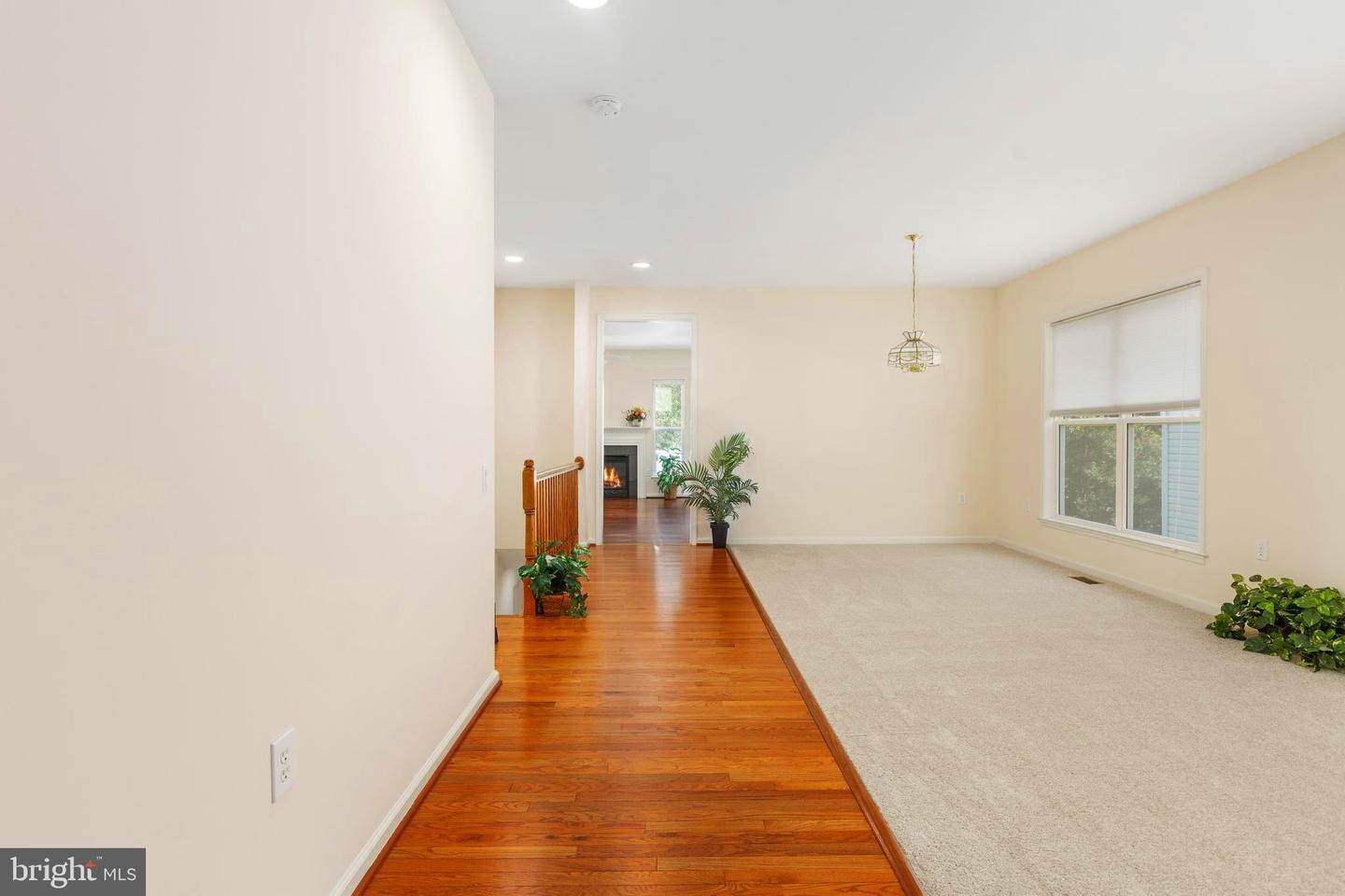 22 Chantilly Pl Property Photo 17
