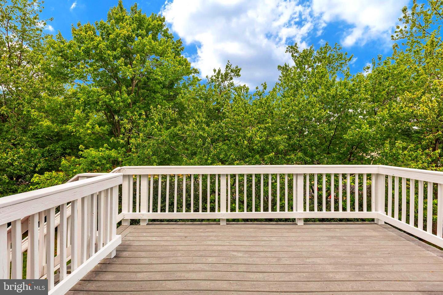 22 Chantilly Pl Property Photo 41